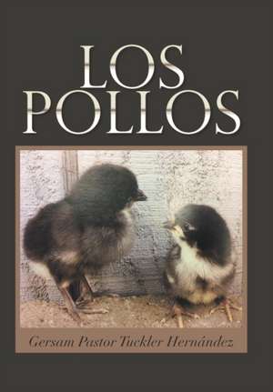Los Pollos de Gersam Pastor Tuckler Hernández