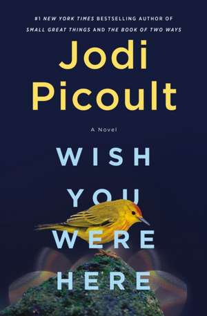 Wish You Were Here de Jodi Picoult