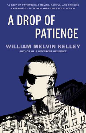 A Drop of Patience de William Melvin Kelley