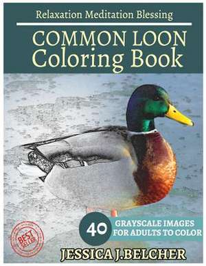 Common Loon Coloring Book for Adults Relaxation Meditation Blessing de Belcher, Jessica