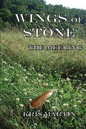 Wings of Stone - The Meetings de Kris Martin