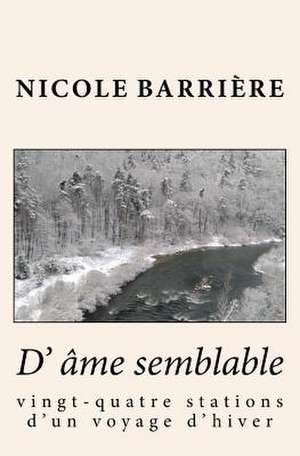 Une AME Semblable de Nicole Barriere