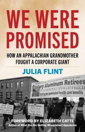We Were Promised de Julia Flint