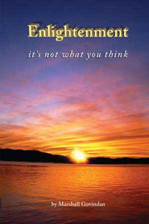 Enlightenment: It's Not What You Think de Marshall Govindan