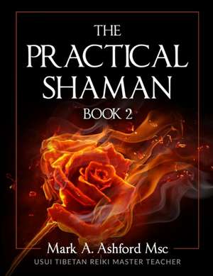 The Practical Shaman Book 2 de Mark a Ashford