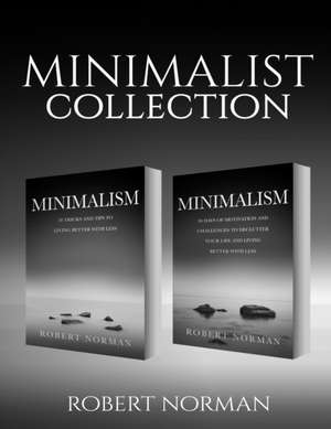 Minimalism de Robert Norman