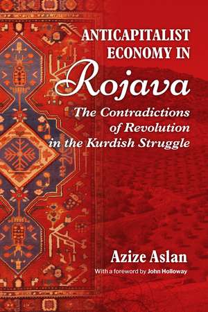 Anticapitalist Economy in Rojava: The Contradictions of the Revolution in the Struggles of the Kurds de Azize Aslam