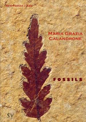 Fossils de Maria Grazia Calandrone