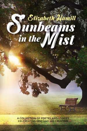 Sunbeams in the Mist de Elizabeth Hamill