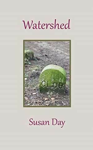 Watershed de Susan Day
