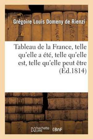 Tableau de La France, Telle Qu'elle a Ete, Telle Qu'elle Est, Telle Qu'elle Peut Etre, Ou Appercu: Politique Et Impartial Sur Sa Restauration de Domeny De Rienzi-G