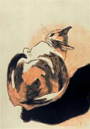 Carnet ligné, Chat