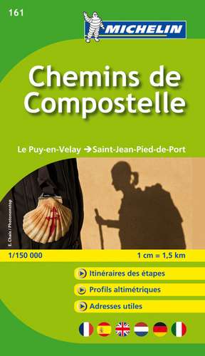 Le chemin de Compostelle - Zoom Map 161 de Michelin