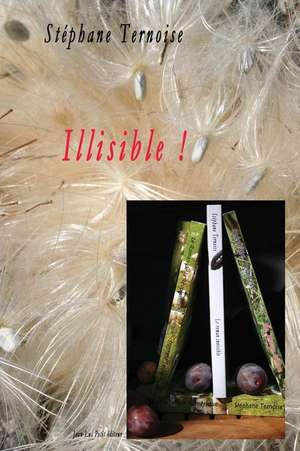 Illisible ! de Stephane Ternoise