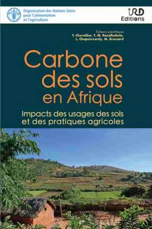 CARBONE DES SOLS EN AFRIQUE