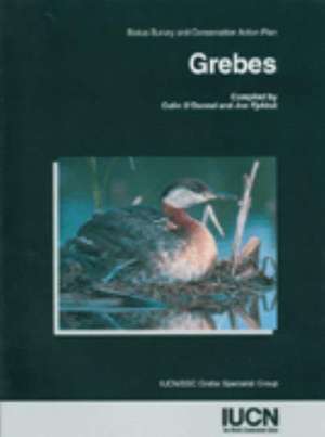 Grebes: Status Survey And Conservation Action Plan de Colin O'Donnell