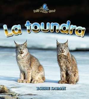 La Toundra de Kelley MacAulay