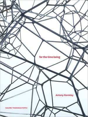 Antony Gormley: For the Time Being de Pierre Tillet