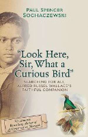 "Look Here, Sir, What a Curious Bird" de Paul Spencer Sochaczewski