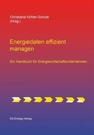 Energiedaten effizient managen de Bernd Gerwert