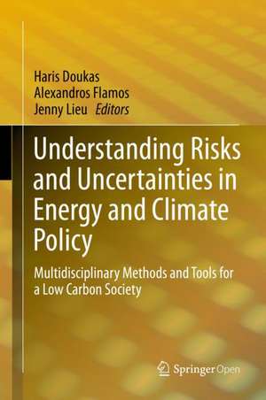 Understanding Risks and Uncertainties in Energy and Climate Policy: Multidisciplinary Methods and Tools for a Low Carbon Society de Haris Doukas