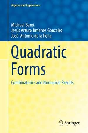 Quadratic Forms: Combinatorics and Numerical Results de Michael Barot