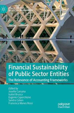 Financial Sustainability of Public Sector Entities: The Relevance of Accounting Frameworks de Josette Caruana