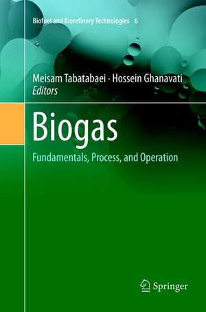 Biogas: Fundamentals, Process, and Operation de Meisam Tabatabaei