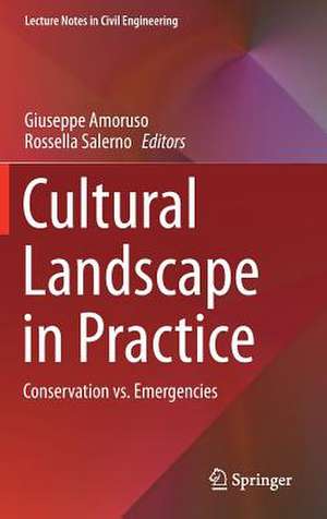 Cultural Landscape in Practice: Conservation vs. Emergencies de Giuseppe Amoruso