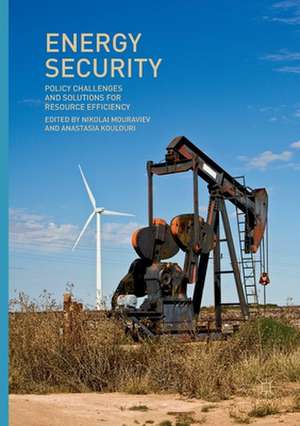 Energy Security: Policy Challenges and Solutions for Resource Efficiency de Nikolai Mouraviev