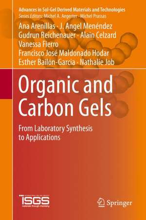 Organic and Carbon Gels: From Laboratory Synthesis to Applications de Ana Arenillas