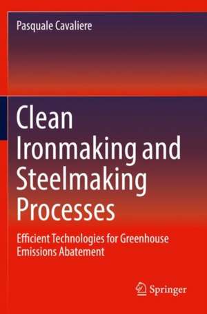 Clean Ironmaking and Steelmaking Processes: Efficient Technologies for Greenhouse Emissions Abatement de Pasquale Cavaliere