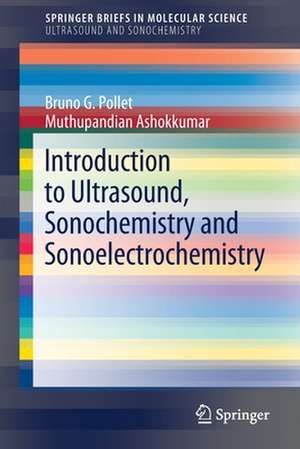 Introduction to Ultrasound, Sonochemistry and Sonoelectrochemistry de Bruno G. Pollet