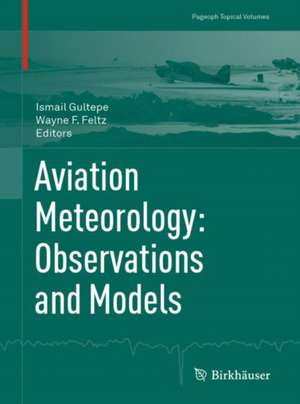 Aviation Meteorology: Observations and Models de Ismail Gultepe