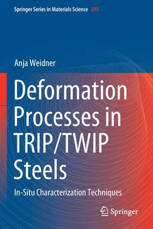 Deformation Processes in TRIP/TWIP Steels: In-Situ Characterization Techniques de Anja Weidner