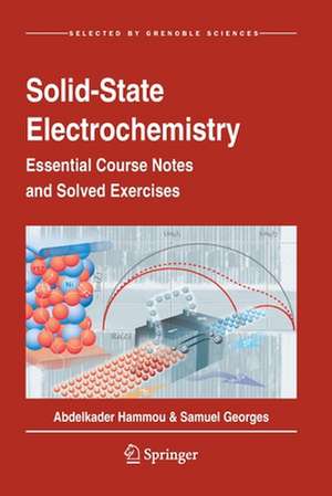 Solid-State Electrochemistry: Essential Course Notes and Solved Exercises de Abdelkader Hammou