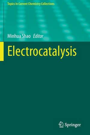 Electrocatalysis de Minhua Shao