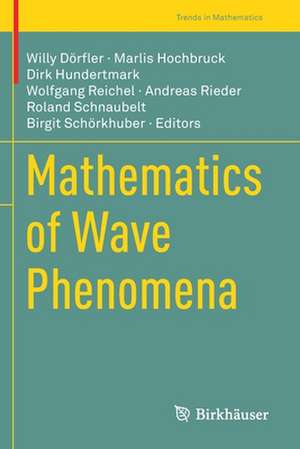 Mathematics of Wave Phenomena de Willy Dörfler