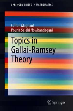 Topics in Gallai-Ramsey Theory de Colton Magnant