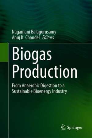 Biogas Production: From Anaerobic Digestion to a Sustainable Bioenergy Industry de Nagamani Balagurusamy