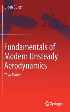 Fundamentals of Modern Unsteady Aerodynamics de Ülgen Gülçat