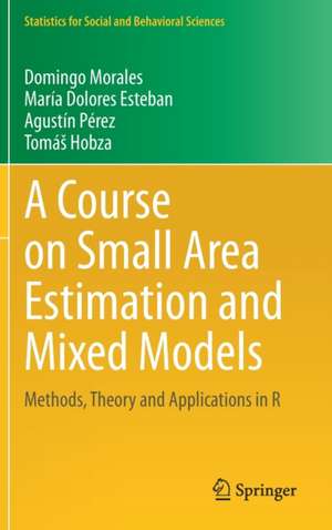 A Course on Small Area Estimation and Mixed Models: Methods, Theory and Applications in R de Domingo Morales