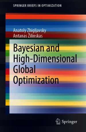 Bayesian and High-Dimensional Global Optimization de Anatoly Zhigljavsky