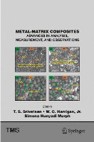 Metal-Matrix Composites: Advances in Analysis, Measurement, and Observations de T. S. Srivatsan