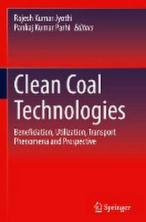 Clean Coal Technologies: Beneficiation, Utilization, Transport Phenomena and Prospective de Rajesh Kumar Jyothi