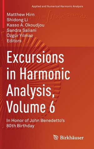 Excursions in Harmonic Analysis, Volume 6: In Honor of John Benedetto’s 80th Birthday de Matthew Hirn