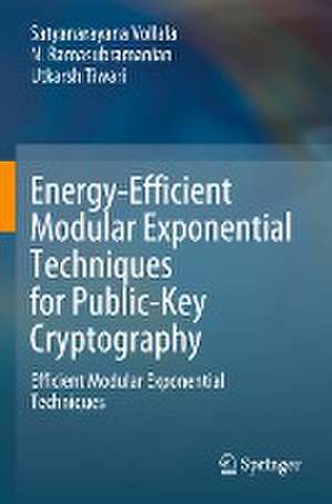 Energy-Efficient Modular Exponential Techniques for Public-Key Cryptography: Efficient Modular Exponential Techniques de Satyanarayana Vollala