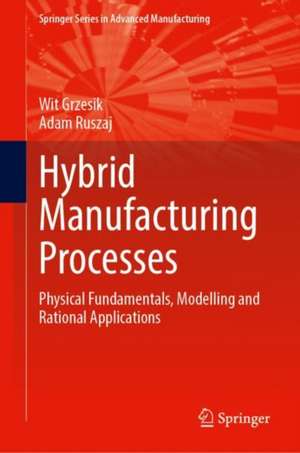 Hybrid Manufacturing Processes: Physical Fundamentals, Modelling and Rational Applications de Wit Grzesik