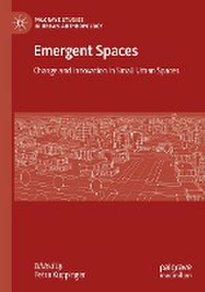 Emergent Spaces: Change and Innovation in Small Urban Spaces de Petra Kuppinger