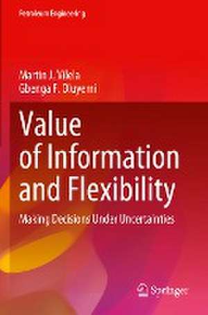 Value of Information and Flexibility: Making Decisions Under Uncertainties de Martin J. Vilela